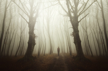Fototapeta premium surreal forest road with ghost shadow, scary halloween landscape