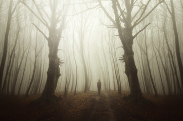 surreal forest road with ghost shadow, scary halloween landscape