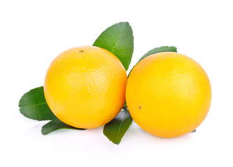 orange on white background