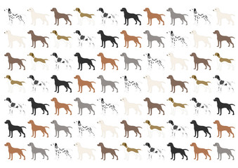 いろいろな種類の犬の模様 背景イラスト 
