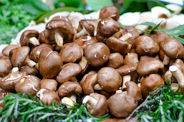 Cremini mushrooms at market