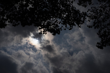 Partial eclipse in New York City viewed through clouds and silhouetted trees - 168760460
