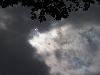 Partial eclipse in New York City viewed through clouds and silhouetted trees - 168760632