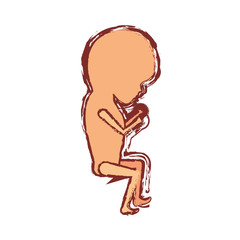 color silhouette with blurred contour of side view fetal growth a trimestrer