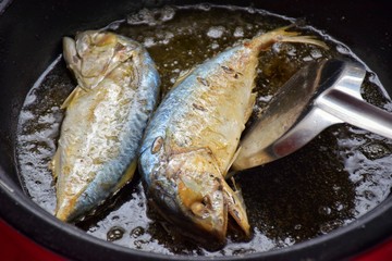 Mackerel fried.