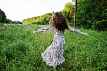 Portrait of a fabulous young woman in dress walking in the tall grass.