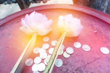 Crédence de cuisine en verre imprimé Bouddha pastel orange light on pink lotus with coins in the tray at temple