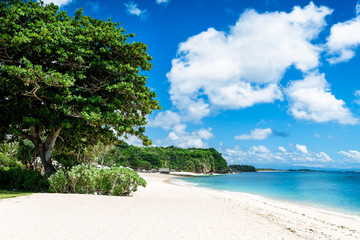 Fototapeta na wymiar Tropical white sand beach in Bali