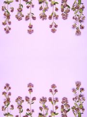 Floral wallpaper curb of almond plants on a lilac background.