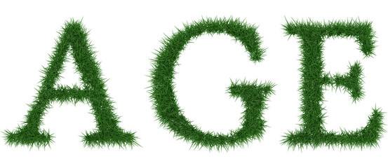 Age - 3D rendering fresh Grass letters isolated on whhite background.
