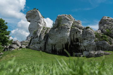 Limestone rocks at the Ogrodzieniec castle terrain at sunny summer day, Poland 