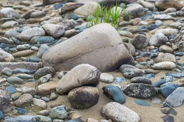 Fototapeta premium Colorful stones on a mountain river bank, colorful texture background, summer morning