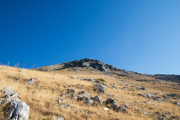 Fototapeta na wymiar Rocky mountain with yellow grass fields and blue sky in the background. Peak of Marsicano mountain in Abruzzo