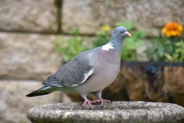 Watching Me Watching You