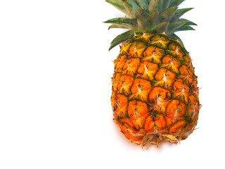 Close up pineapple on white background