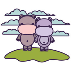 white background with light color scene couple faceless hippopotamus animals in grass vector illustration