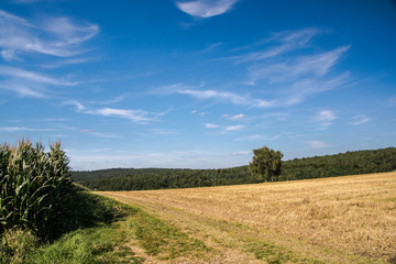 Blauer Himmel &uuml;berm Land