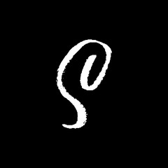 Letter S. Handwritten by dry brush. Rough strokes font. Vector illustration. Grunge style elegant lettering