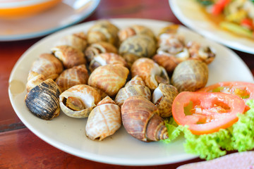 Selective focus of Grilled areola babylon or spotted babylon on the plate in local restaurant in...