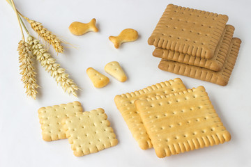 Cookies and spikes of wheat on  white background.