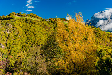 Colors of dolomites in the fall, mountains of the Italian alps