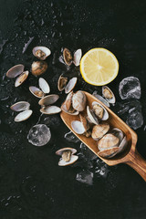 Vongole shellfish with lemon