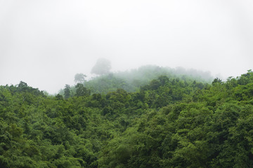 The landscape image of tropical forest in the natural world heritage site of Thailand.