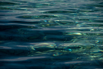 Fototapeta premium Water Blue Reflection and fishes in Montenegro