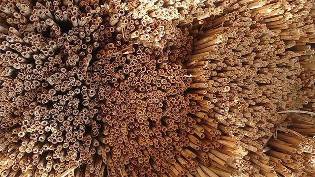 Stacked reed sheafs texture
