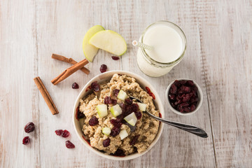 Oatmeal Breakfast Cereal With Cinnamon and Apples Cranberries and Milk