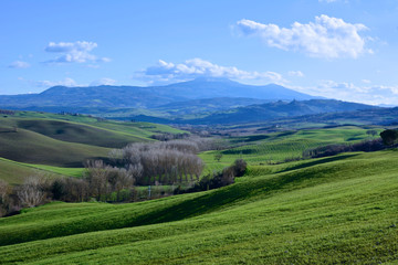 Colorful nature in the Tuscan countryside in the province of Siena
