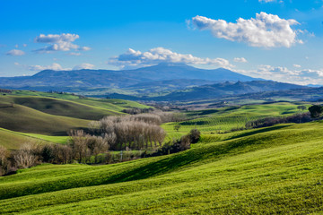 Colorful nature in the Tuscan countryside in the province of Siena