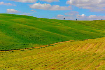 Spring landscape in the hills of Tuscany Italy, land of Brunello wine