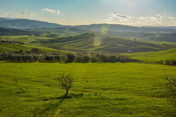 Spring landscape in the hills of Tuscany Italy, land of Brunello wine