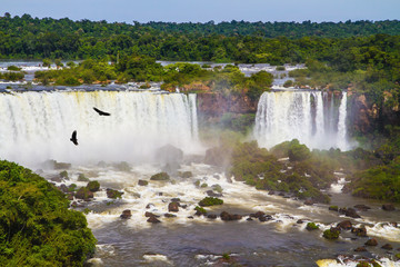 The roaring Iguazu Falls