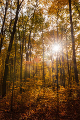 fall at Ohiopyle State Park in Pennsylvania