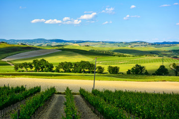 Fototapeta na wymiar Spring landscape in the hills of Tuscany Italy, land of Brunello wine
