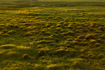 The grasslands and rivers of Inner Mongolia