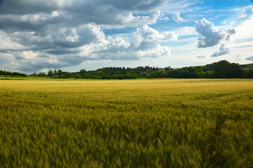 Spring landscape in the hills of Tuscany Italy, land of Brunello wine