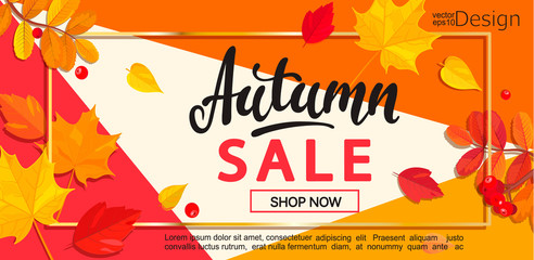 Modern banner for autumn sale.