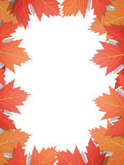 Naklejka na ściany i meble Autumn leaves background. Frame of vector maple leaves. Template for Autumn banner, poster, ad, card.