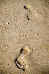 Footsteps in the sand on the beach