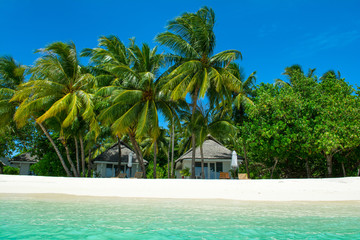 Obraz premium Beautiful sandy beach with sunbeds and umbrellas in Indian ocean, Maldives island