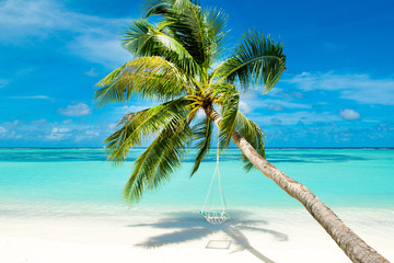Fototapeta na wymiar Tropical landscape with swings in the palm tree on the shores of Indian Ocean
