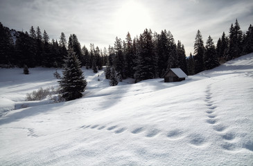 Fototapeta na wymiar wooden cabin in snowy alpine hills