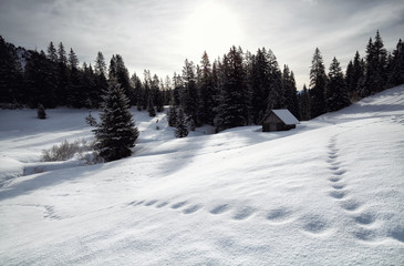 wooden cabin in snowy alpine hills