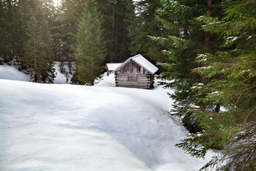 cozy wooden cabin in snowy forest