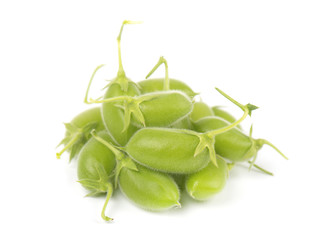 Green chickpea in the pod isolated on white background