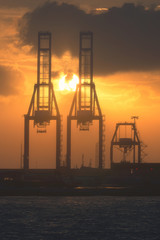 cranes in harbor at the sunset