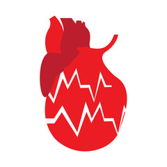 Isolated heart with a cardiogram, Vector illustration